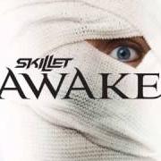 El texto musical BELIEVE de SKILLET también está presente en el álbum Awake (2009)