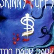 El texto musical RECLAMATION de SKINNY PUPPY también está presente en el álbum Too dark park (1990)