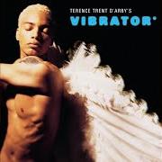 El texto musical IF YOU GO BEFORE ME de TERENCE TRENT D'ARBY también está presente en el álbum Vibrator (1995)