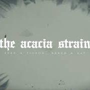 El texto musical SOLACE AND SERENITY de THE ACACIA STRAIN también está presente en el álbum Slow decay (2020)