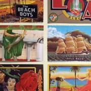 El texto musical GOIN' SOUTH de THE BEACH BOYS también está presente en el álbum L.A. (light album) (1979)