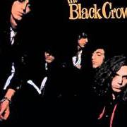 El texto musical THICK & THIN de THE BLACK CROWES también está presente en el álbum Shake your moneymaker (1990)