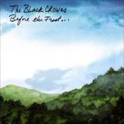 El texto musical APPALOOSA de THE BLACK CROWES también está presente en el álbum Before the frost...Until the freeze (2009)