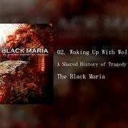 El texto musical FOOL'S GOLD de BLACK MARIA también está presente en el álbum A shared history in tragedy (2006)