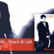 El texto musical WAR IS LOVE de THE BLUE NILE también está presente en el álbum Peace at last (1996)