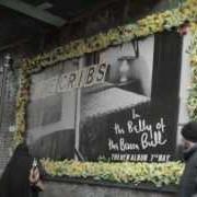 El texto musical ANNA de THE CRIBS también está presente en el álbum In the belly of the brazen bull (2012)