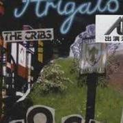 El texto musical IT HAPPENED SO FAST de THE CRIBS también está presente en el álbum Arigato cockers (2006)