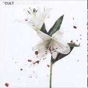 El texto musical LILIES de THE CULT también está presente en el álbum Hidden city (2016)