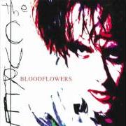 El texto musical THERE IS NO IF... de THE CURE también está presente en el álbum Bloodflowers (2000)
