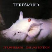 El texto musical DOZEN GIRLS de THE DAMNED también está presente en el álbum Strawberries (1982)