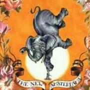 El texto musical REVENGE de THE NEW AMSTERDAMS también está presente en el álbum At the foot of my rival (2007)