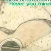 El texto musical IDAHO de THE NEW AMSTERDAMS también está presente en el álbum Never you mind (2000)