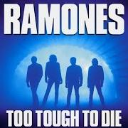 El texto musical DAYTIME DILEMMA (DANGERS OF LOVE) de RAMONES también está presente en el álbum Too tough to die (1984)