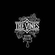 El texto musical SPACESHIP de THE VINES también está presente en el álbum Vision valley (2006)