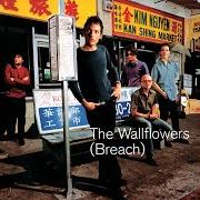 El texto musical I'VE BEEN DELIVERED de THE WALLFLOWERS también está presente en el álbum Breach (2000)