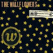 El texto musical GOD DON'T MAKE LONELY GIRLS de THE WALLFLOWERS también está presente en el álbum Bringing down the horse (1996)