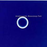 El texto musical SHUDDER / KING OF SNAKE de UNDERWORLD también está presente en el álbum Beaucoup fish (1999)