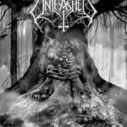 El texto musical EVIL DEAD de UNLEASHED también está presente en el álbum As yggdrasil trembles (2010)