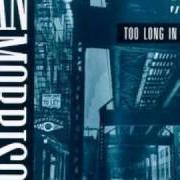El texto musical LONELY AVENUE de VAN MORRISON también está presente en el álbum Too long in exile (1993)