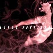 El texto musical SAND DOLLAR de VENUS también está presente en el álbum Vertigone (2003)