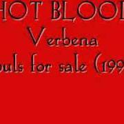 El texto musical SHAPED LIKE A GUN de VERBENA también está presente en el álbum Souls for sale (1997)