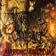 El texto musical SURGICAL DISGORGEMENT de VOMITORIAL CORPULENCE también está presente en el álbum Karrionic hacktician (1995)