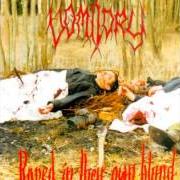 El texto musical NERVEGASCLOUDS de VOMITORY también está presente en el álbum Raped in their own blood (1996)