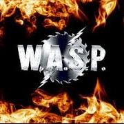 El texto musical SLEEPING (IN THE FIRE) de W.A.S.P. también está presente en el álbum I wanna be somebody (1984)