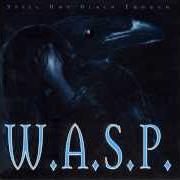 El texto musical GOODBYE AMERICA de W.A.S.P. también está presente en el álbum Still not black enough (1995)
