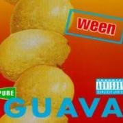 El texto musical PUMPIN' 4 THE MAN de WEEN también está presente en el álbum Pure guava (1992)