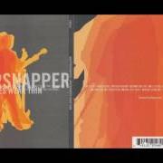 El texto musical GONE BUT NOT FORGOTTEN de WHIPPERSNAPPER también está presente en el álbum Appearances wear thin (2002)