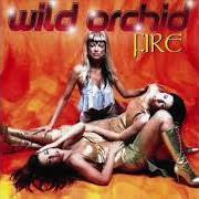 El texto musical IT'S ALL YOUR FAULT de WILD ORCHID también está presente en el álbum Fire