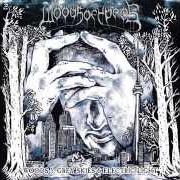 El texto musical KISS MY ASHES (GOODBYE) (PT.2) de WOODS OF YPRES también está presente en el álbum Woods 5: grey skies & electric light (2012)