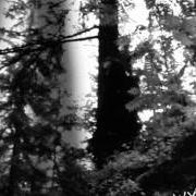 El texto musical PALE FOREST de WYRD también está presente en el álbum Huldrafolk (2002)