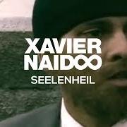 El texto musical ABGRUND de XAVIER NAIDOO también está presente en el álbum Telegramm für x (2005)