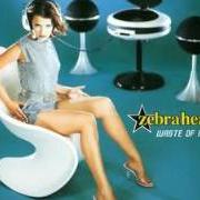 El texto musical SWING de ZEBRAHEAD también está presente en el álbum Waste of mind (1998)