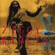 El texto musical LOOKING de ZIGGY MARLEY también está presente en el álbum Dragonfly (2003)