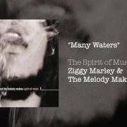 El texto musical WE ARE ONE de ZIGGY MARLEY también está presente en el álbum Spirit of music (1999)