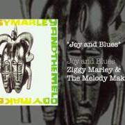El texto musical THIS ONE de ZIGGY MARLEY también está presente en el álbum Joy and blues (1993)