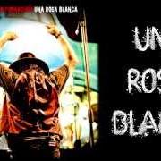 El texto musical VEDO NERO de ZUCCHERO también está presente en el álbum Una rosa blanca (2013)