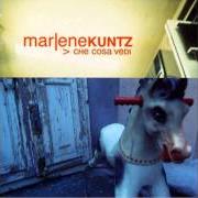 El texto musical LA CANZONE CHE SCRIVO PER TE de MARLENE KUNTZ también está presente en el álbum Che cosa vedi (2000)