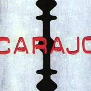 El texto musical RESISTIENDO CON IDEAS de CARAJO también está presente en el álbum Carajografia (2003)