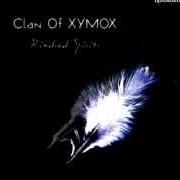El texto musical A FOREST de CLAN OF XYMOX también está presente en el álbum Kindred spirits (2012)