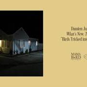 El texto musical BIRDS TRICKED INTO THE TREES de DAMIEN JURADO también está presente en el álbum What's new, tomboy? (2020)