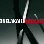 El texto musical ONE NIGHT de DEINE LAKAIEN también está presente en el álbum Indicator (2010)