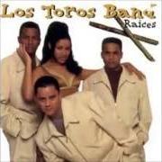 El texto musical LA GORDITA de LOS TOROS BAND también está presente en el álbum Raices ii (2012)