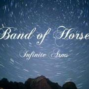 El texto musical COMPLIMENTS de BAND OF HORSES también está presente en el álbum Infinite arms (2010)