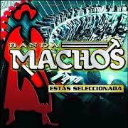 El texto musical MI OTRO YO de BANDA MACHOS también está presente en el álbum Estas seleccionada (2009)