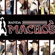 El texto musical UN DÍA ESPECIAL de BANDA MACHOS también está presente en el álbum Si volviera a nacer (2013)