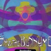 El texto musical ENLIGHTEN ME de ECHO AND THE BUNNYMEN también está presente en el álbum Reverberation (1990)